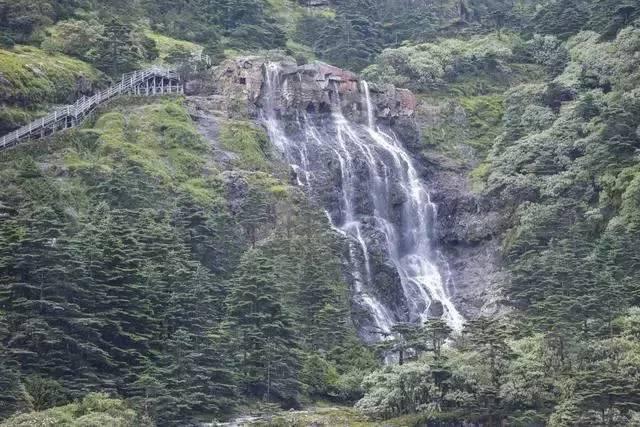 张雪峰将捐赠300万，资助郑州大学贫困生